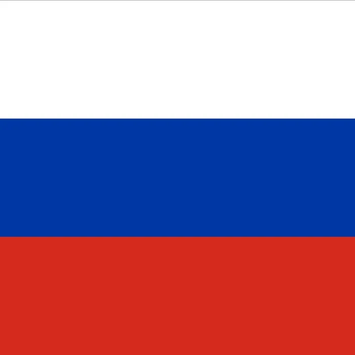 How Russian firms try to get around international sanctions