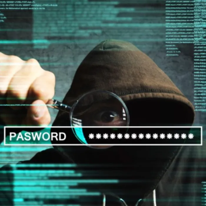 Cybersecurity experts warn businesses: internet fraud on the rise amid Covid-19 crisis