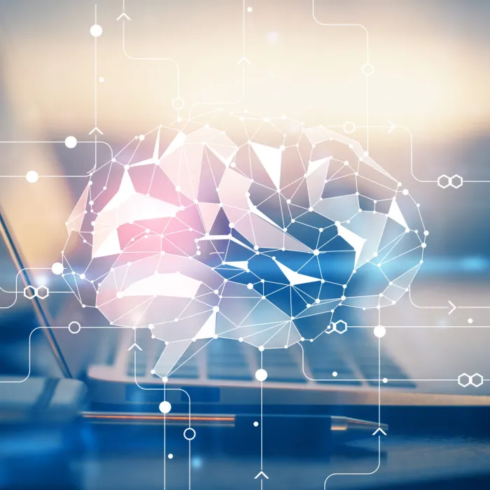 Daniel Rusu, senior partner, Corporate Intelligence Agency: Digitalization helps us grow, but fraud will exist as long as humans exist. As long as humans will generate fraud, digitalization and artificial intelligence will be tools